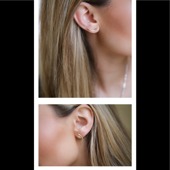 reagan Charleston Jewelry - Viper fang Reagan Charleston bronze earrings